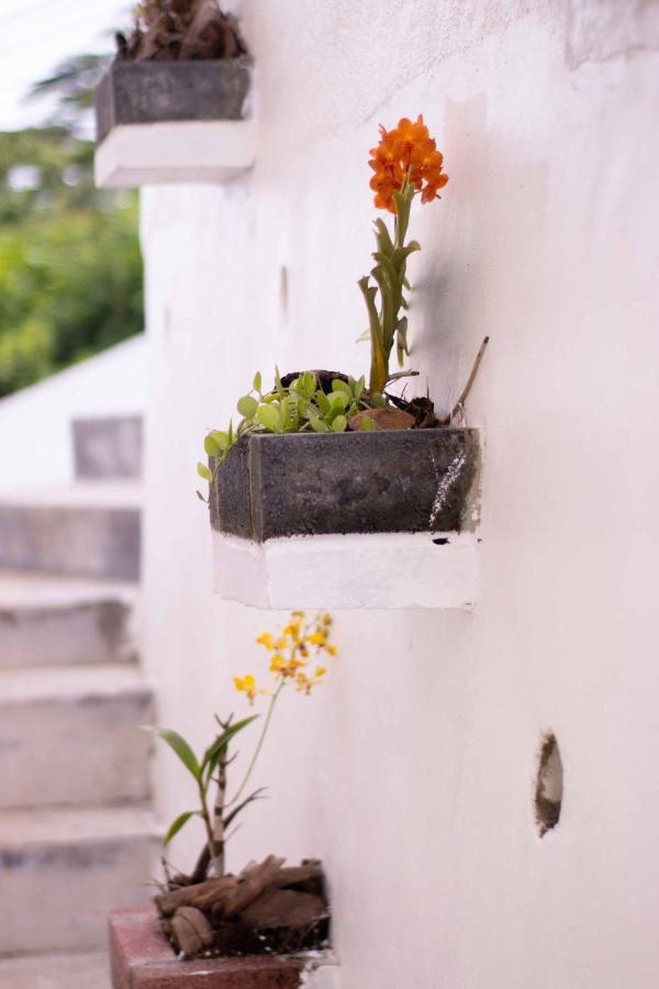 Azamat Self-Catering Apartment Pointe La Rue Ngoại thất bức ảnh